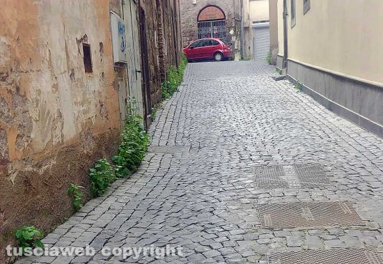 Viterbo - Erbacce nei vicoli del centro - Via del Ganfione
