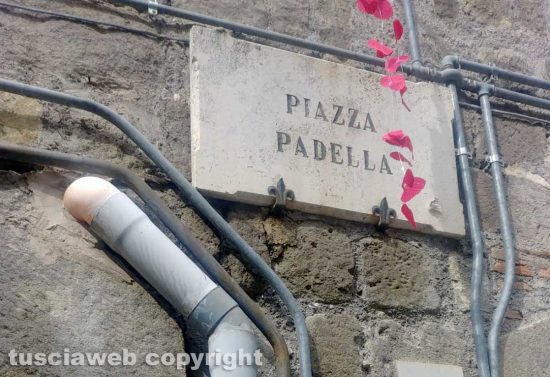 Viterbo - Erbacce nei vicoli del centro - Piazza Padella