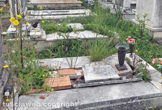 Montefiascone - L'erba alta tra le tombe della parte vecchia del cimitero