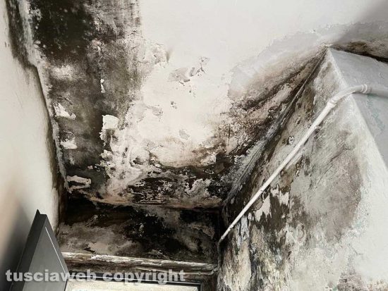 Pratogiardino Lucio Battisti - La lordura sul soffitto del bagno degli uomini
