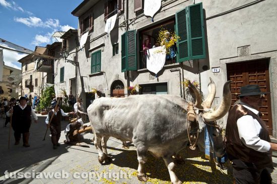 Marta - La festa della Madonna Santissima del Monte