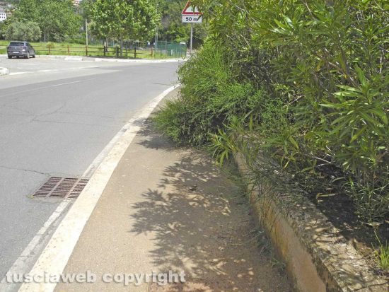 Erbacce e sporcizia a Ponte dell'Elce