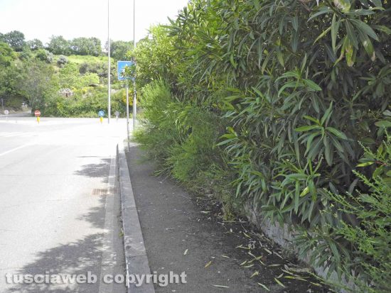 Erbacce e sporcizia a Ponte dell'Elce