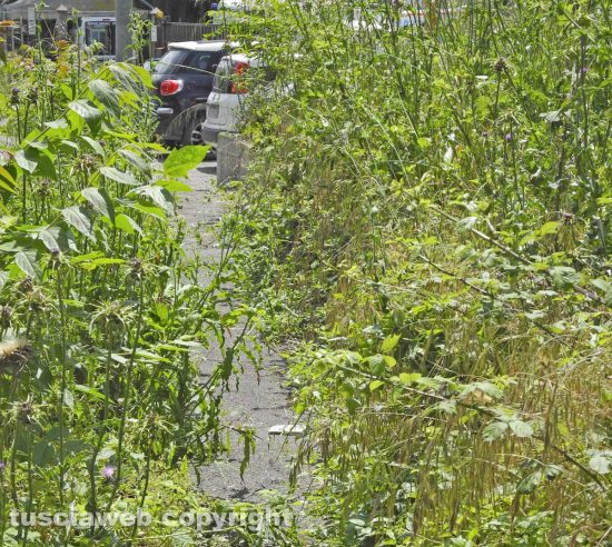 Erbacce e sporcizia a Ponte dell'Elce
