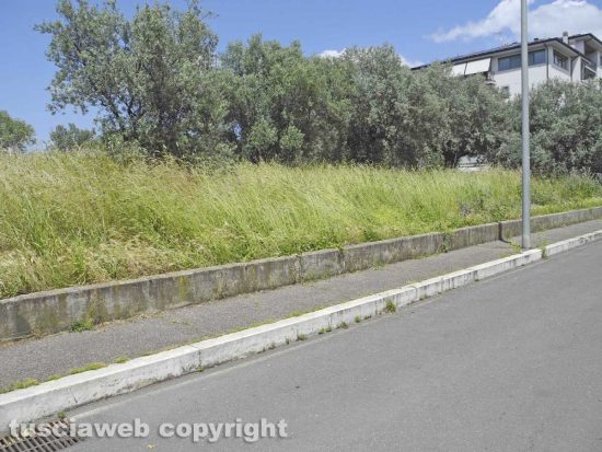 Erbacce e sporcizia a Ponte dell'Elce
