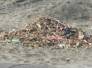 Montalto di Castro - Legna e rifiuti sul lungomare