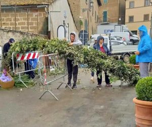 Bassano in Teverina - Preparativi Tuscia in Fiore 
