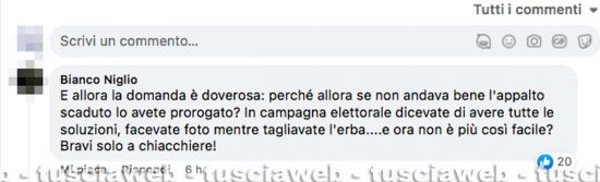 Tagli dell'erba - Alcuni dei commenti al post di Chiara Frontini