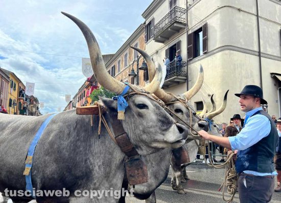 Marta - La festa della Madonna del monte