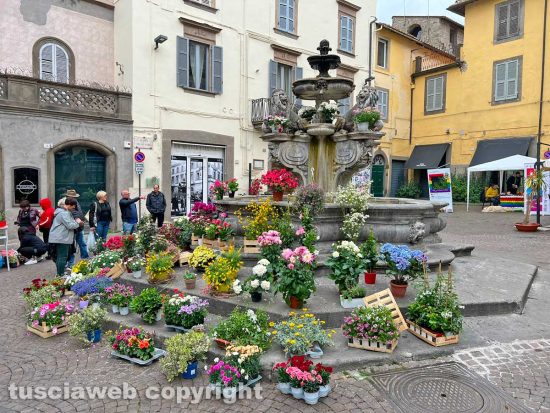 Viterbo in festa - Primo maggio