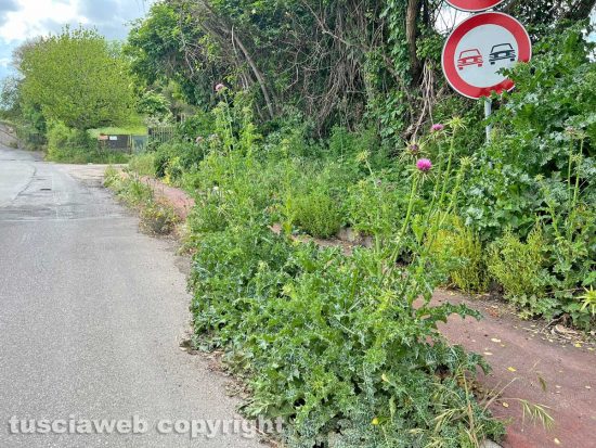 Viterbo - La pista rossa in strada Bagni