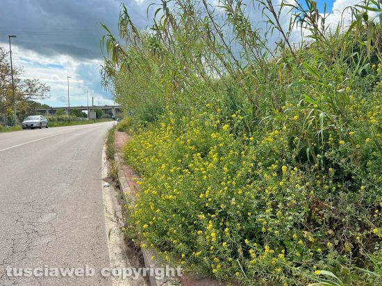 Viterbo - La pista rossa in strada Bagni
