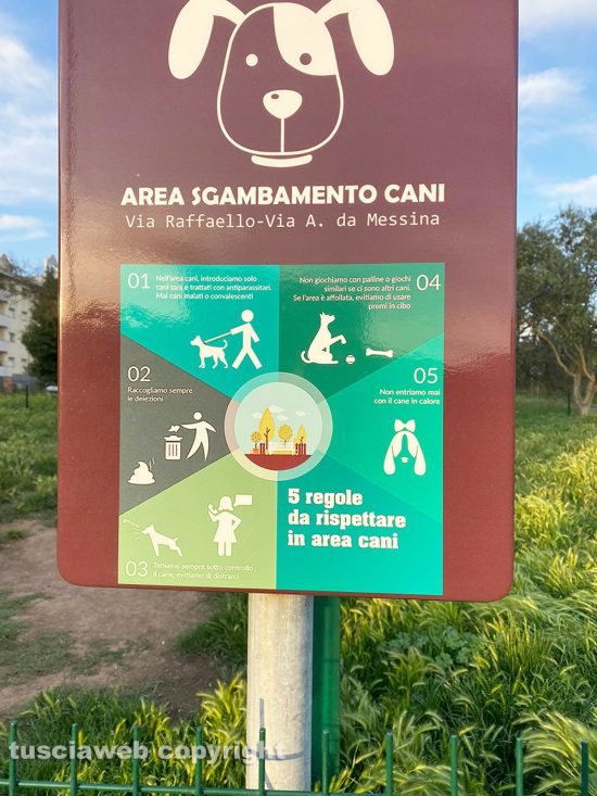 Viterbo - Erba alta un metro in via Raffaello nel quartiere di Santa Barbara