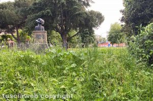 Viterbo - Erba alta nei quartieri del Carmine e di Pianoscarano