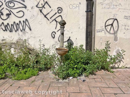 Viterbo - I giardinetti di palazzo dei Priori