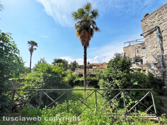 Viterbo - I giardinetti di palazzo dei Priori