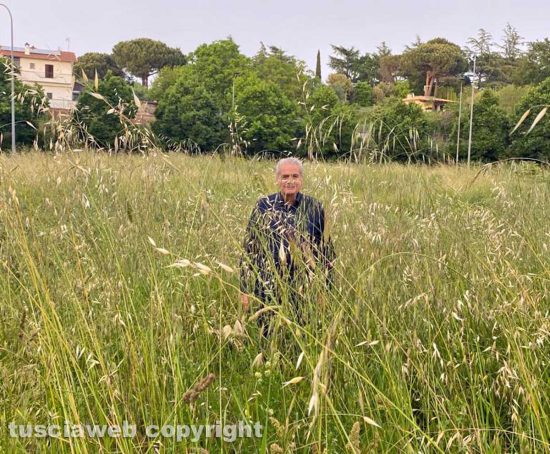 Viterbo - L'ex sindaco Giovanni Arena in mezzo all'erba alta