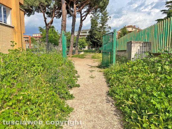 Viterbo - La scuola primaria Ellera