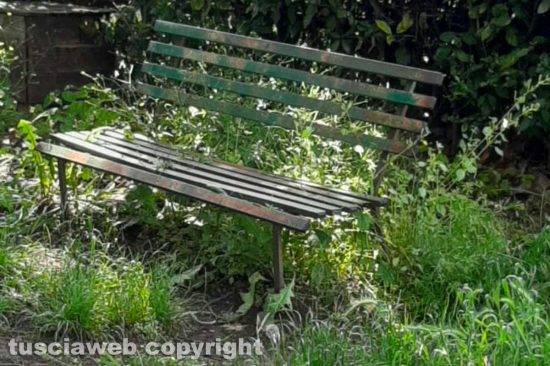 Viterbo - Le erbacce al parco giochi di piazza donna Olimpia