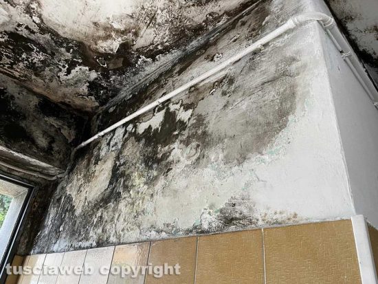 Pratogiardino Lucio Battisti - La lordura sul soffitto del bagno degli uomini