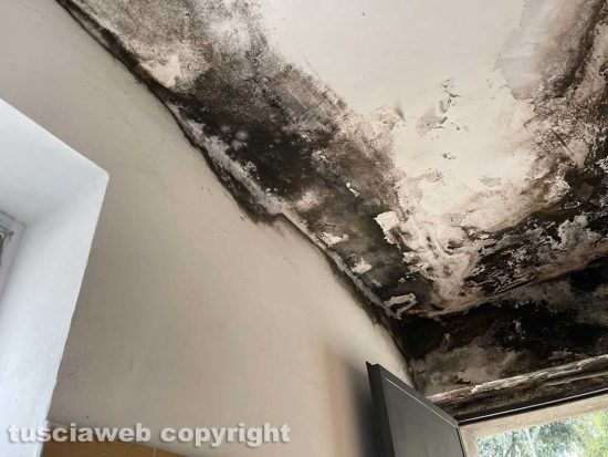 Pratogiardino Lucio Battisti - La lordura sul soffitto del bagno degli uomini