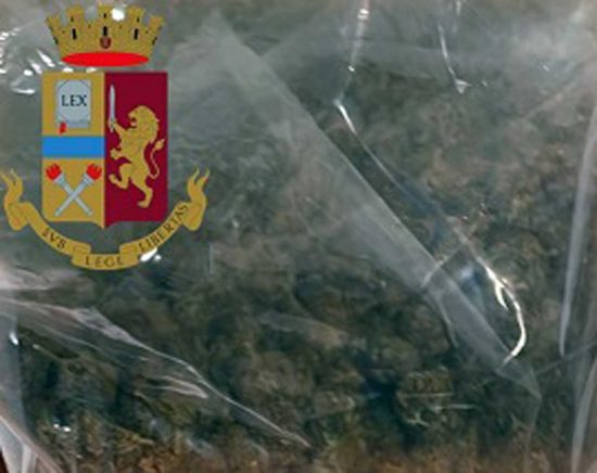 Viterbo - La marijuana sequestrata dalla polizia 