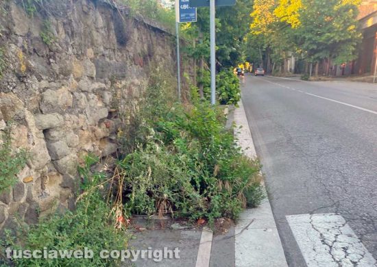 Viale Trieste, nell'abbandono più completo