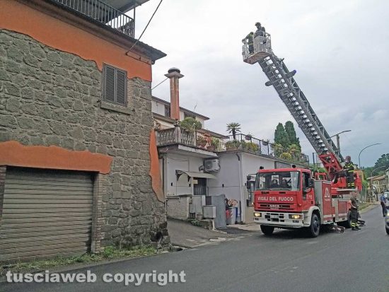 Montefiascone - Cane sale sul tetto di un'abitazione - L'intervento dei vigili del fuoco