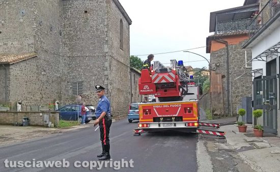 Montefiascone - Cane sale sul tetto di un'abitazione - L'intervento di carabinieri e vigili del fuoco