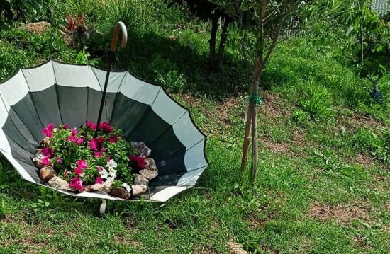 Allumiere - Sentieri in fiore