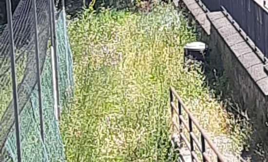 Vignanello - Il giardino comunale nel degrado