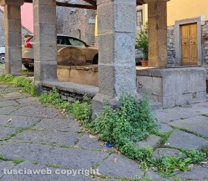 Viterbo - Erbacce nel centro storico