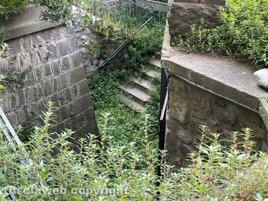 Viterbo - I bagni a piazza della Rocca invasi dalle erbacce, un vero serpaio
