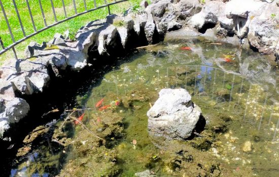 Vignanello - Il giardino comunale nel degrado