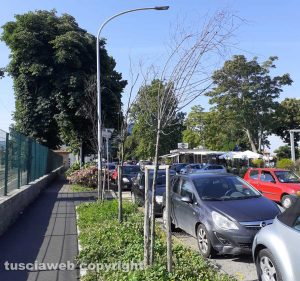 Viterbo - Viale di Porta Romana