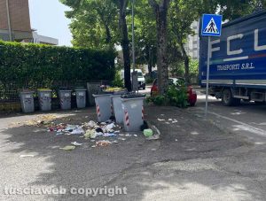 Viterbo - Immondizia a terra in via Monte Cervino