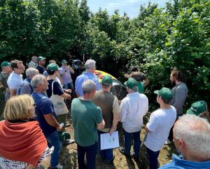 Civita Castellana - La giornata dimostrativa dedicata alle soluzioni tecnologiche più innovative in tema di sostenibilità ambientale in agricoltura