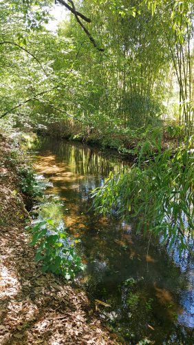Parco di Turona