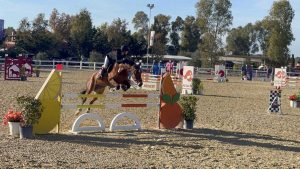 Sport - Equitazione - Lavinia Cervigni