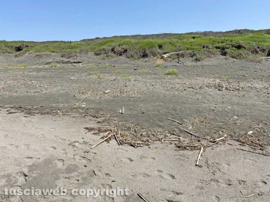 Incuria e sporcizia sulla spiaggia di Montalto Marina