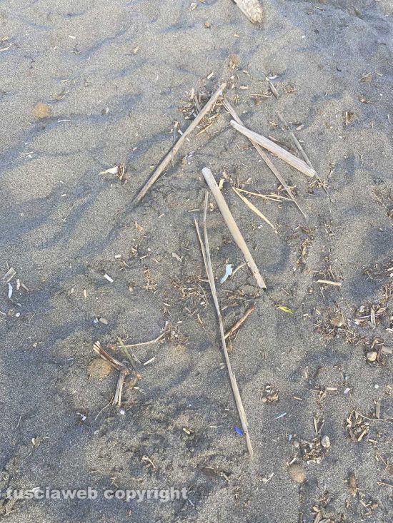 Incuria e sporcizia sulla spiaggia di Montalto Marina