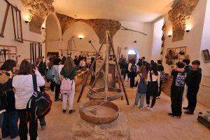 Studenti del liceo Seneca a Proceno