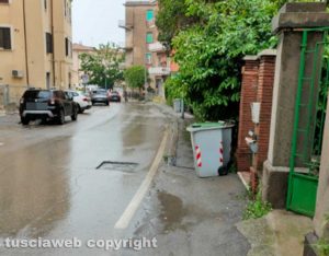 Viterbo - Piante sul marciapiedi in via Vicenza