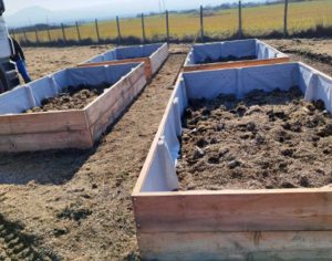 Viterbo - Progetto Bagnaccio