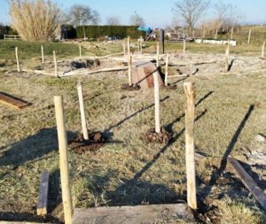 Viterbo - Progetto Bagnaccio
