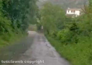 Viterbo - Fitta vegetazione e strade allagate in strada Buon respiro e Filante