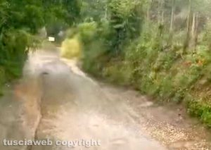 Viterbo - Fitta vegetazione e strade allagate in strada Buon respiro e Filante