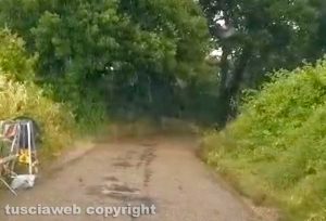 Viterbo - Fitta vegetazione e strade allagate in strada Buon respiro e Filante