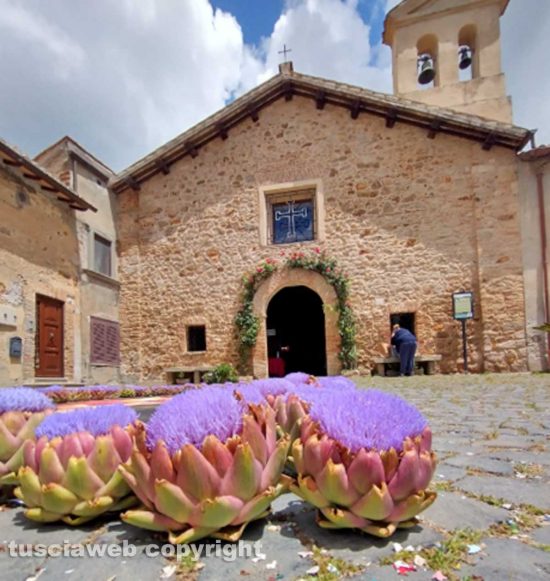 Cerveteri - Fiori di carciofo per l'infiorata