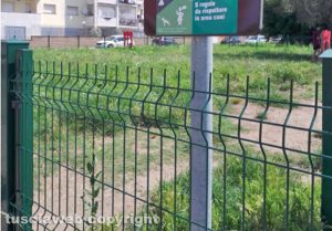 Viterbo - Erba alta nell’area di sgambamento